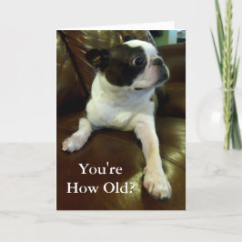 Graciosa tarjeta de cumpleaños Boston Terrier (Res