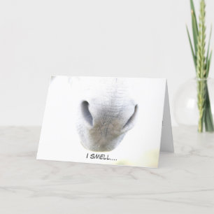 Graciosa tarjeta de cumpleaños con burro