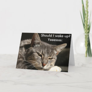 Graciosa tarjeta de cumpleaños con gato: ¿Debería