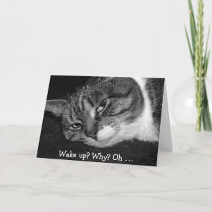 Graciosa tarjeta de cumpleaños con un gato: ¿despe