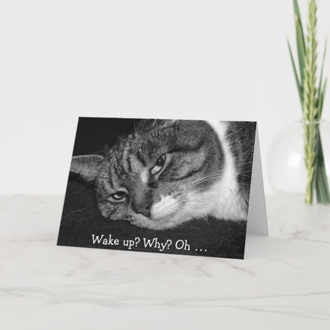 Graciosa tarjeta de cumpleaños con un gato: ¿despe (Anverso)