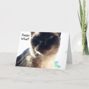 Graciosa tarjeta de cumpleaños con un gato: ¿Feliz