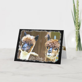 Graciosa tarjeta de cumpleaños de Alpaca Fiesta