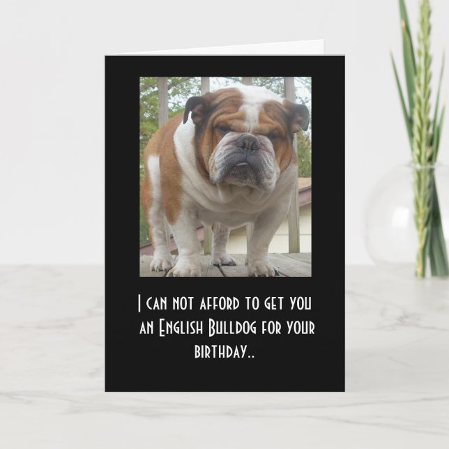 Graciosa tarjeta de cumpleaños de Bulldog inglés (Anverso)