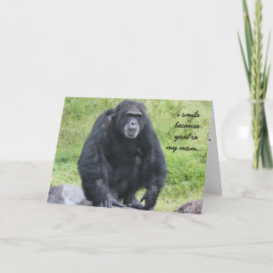 Graciosa tarjeta de cumpleaños de Chimapanzee para