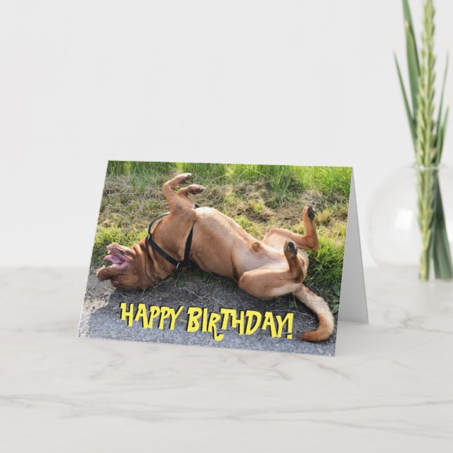 Graciosa tarjeta de cumpleaños de dogue de bordeau (Anverso)