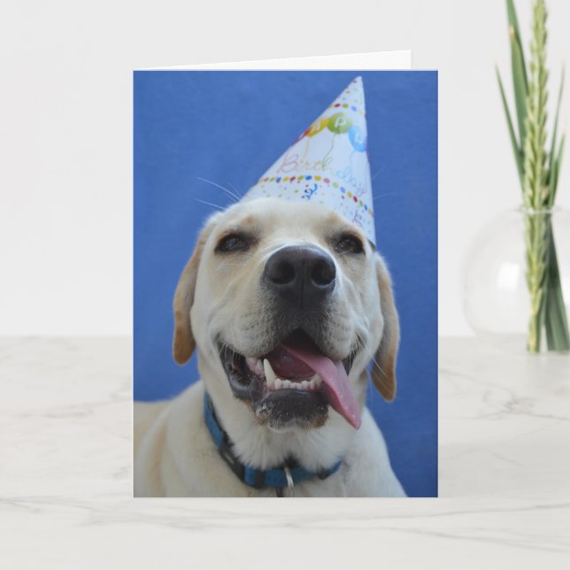 Graciosa tarjeta de cumpleaños de perro (Anverso)