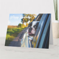 Graciosa tarjeta de cumpleaños de perro Bulldog fr
