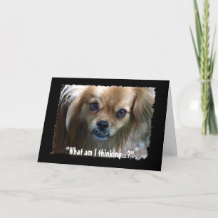 Graciosa tarjeta de cumpleaños de perro con pipa