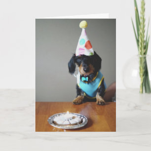 Graciosa tarjeta de cumpleaños de perro de Dachshu