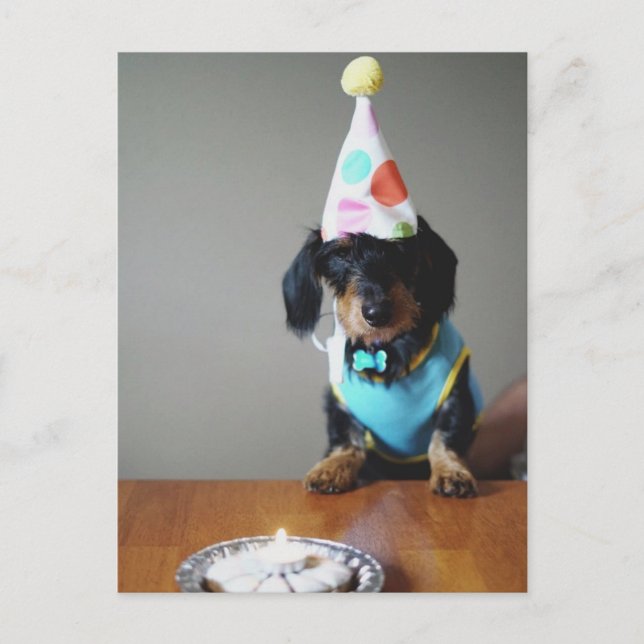 Graciosa tarjeta de cumpleaños de perro de Dachshu (Anverso)