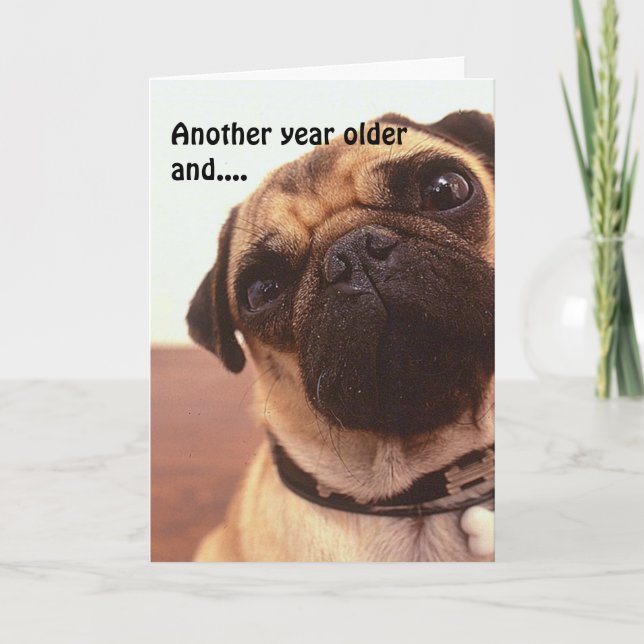 Graciosa tarjeta de cumpleaños de pug perro gracio (Anverso)