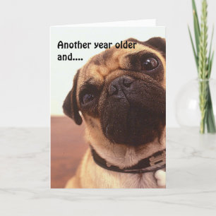 Graciosa tarjeta de cumpleaños de pug perro gracio