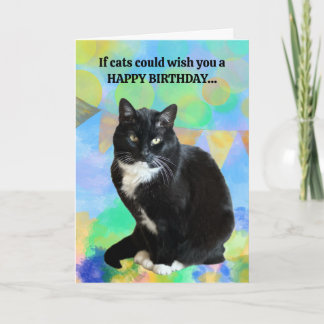 Graciosa tarjeta de cumpleaños del gato del gato