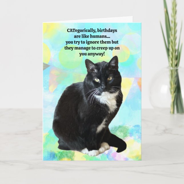 Graciosa tarjeta de cumpleaños del gato del gato (Anverso)