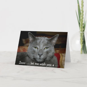 Graciosa tarjeta de cumpleaños feliz con gato gris