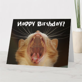 Graciosa tarjeta de cumpleaños feliz para gato