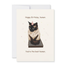 Graciosa tarjeta de cumpleaños feliz para un gato