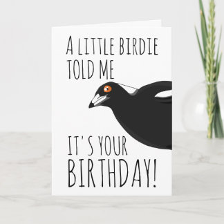 Graciosa tarjeta de cumpleaños magpie