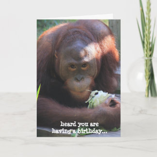 Graciosa tarjeta de cumpleaños, ¡Orangutan quiere 