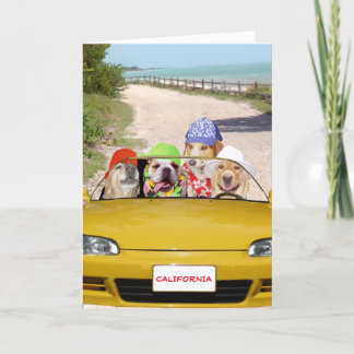 Graciosa tarjeta de cumpleaños para los perros/tra