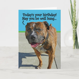 Graciosa tarjeta de cumpleaños Pit Bull