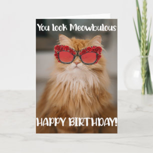 Graciosa tarjeta de felicitación de cumpleaños gat