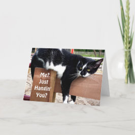 Graciosa tarjeta de felicitación de foto de gato d