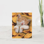 Graciosa tarjeta de felicitación Hanukkah - Gato e<br><div class="desc">Acerca de este tema * DENTRO DE LA SALUD: "¡Espero que tu Hanukkah sea perfecto!" COVER - [imagen del gato con gelt Hanukkah] * TAMAÑO DE LA TARJETA - Recibir 1 notecard de tamaño regular con sobre de 5x7 pulgadas. Ofrecemos tarjetas divertidas que vienen en blanco o recibidas por dentro,...</div>