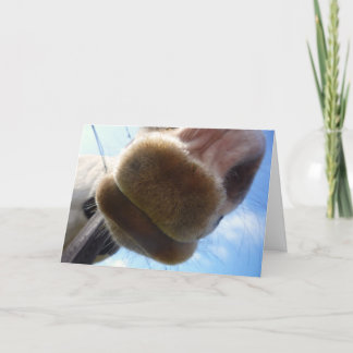Graciosa tarjeta de felicitación para caballos