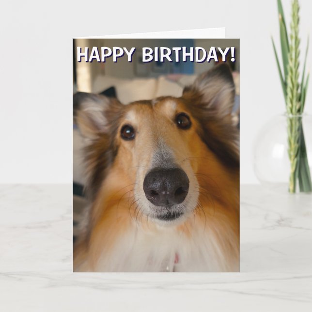Graciosa tarjeta de felicitaciones por retrato de  (Anverso)