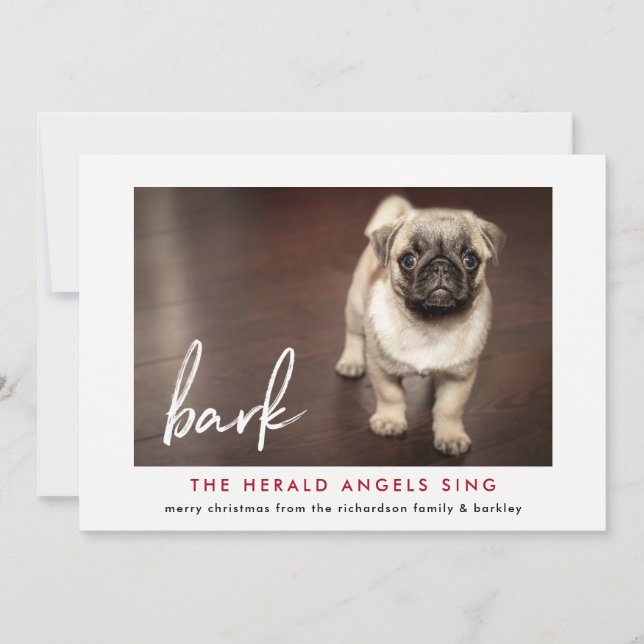 Graciosa tarjeta de fotos de Navidad del perro | R (Anverso)