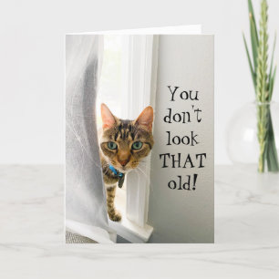 Graciosa tarjeta de gato de complimiento de cumple