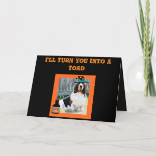 Graciosa tarjeta de Halloween con bruja y rana cut