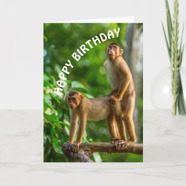 Graciosa tarjeta de mentalidad sucia de cumpleaños (Anverso)
