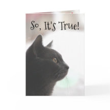 Graciosa tarjeta de natalidad para gato