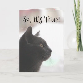 Graciosa tarjeta de natalidad para gato