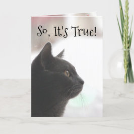 Graciosa tarjeta de natalidad para gato