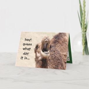 Graciosa tarjeta de Navidades Camel Hump Day (verd