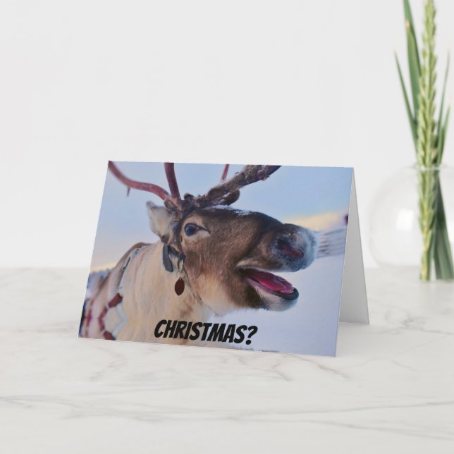 Graciosa tarjeta de Navidades de renos Bah Humbug (Anverso)