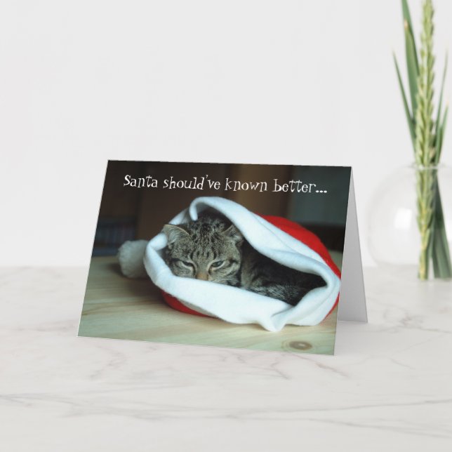 Graciosa tarjeta de Navidades para gatos de Santa  (Anverso)