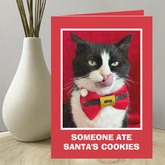 Graciosa tarjeta de Navidades para gatos en Tuxedo