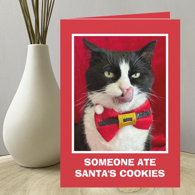 Graciosa tarjeta de Navidades para gatos en Tuxedo (Subido por el creador)