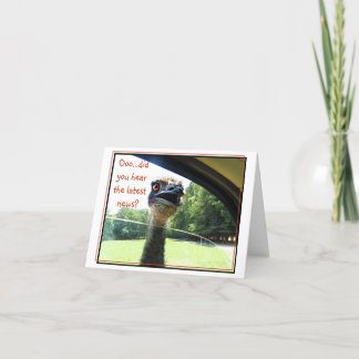 Graciosa tarjeta de presentación de noticias de la