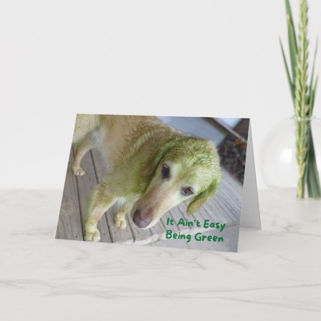 Graciosa tarjeta de recuperación de oro verde de S (Anverso)