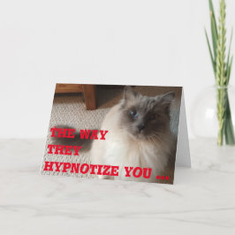 Graciosa tarjeta de saludo