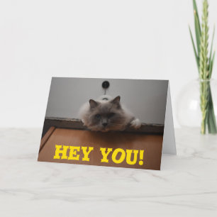 Graciosa tarjeta de saludo