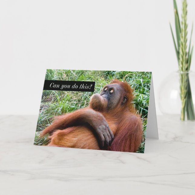 Graciosa tarjeta de saludo de Orangutan (Anverso)