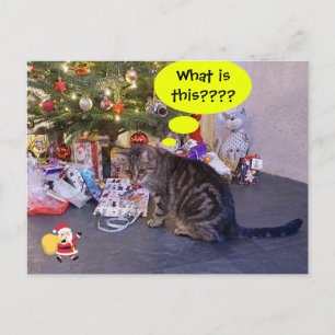 Graciosa tarjeta de vacaciones con gatito y Santa 