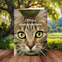 Graciosa tarjeta del día del gato mejor padre padr